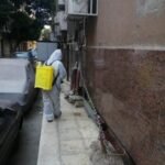 Picture9